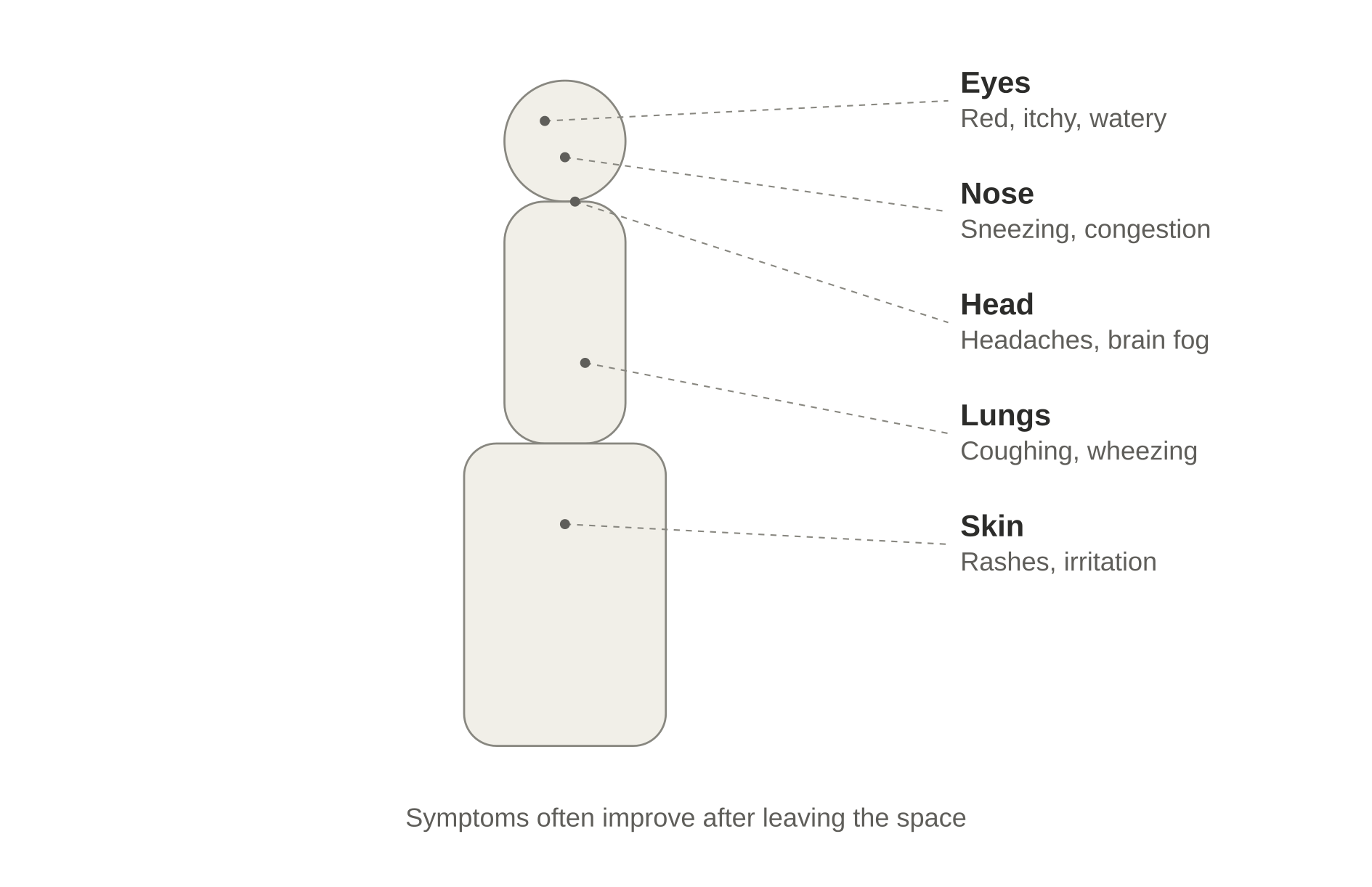 Body map showing common areas where mold exposure symptoms may appear